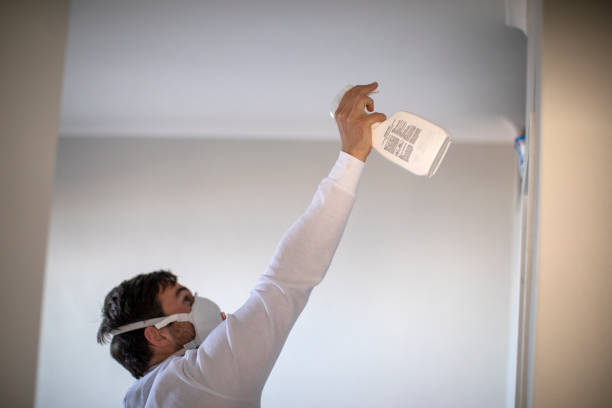 Best Post-Remediation Services in South Shore, KY