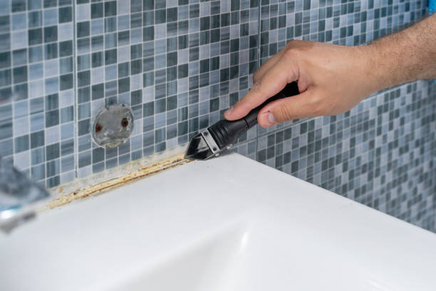 Best Preventive Mold Services in South Shore, KY